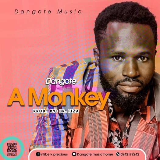 Dangote - A Monkey (Prod. by DrFiza)