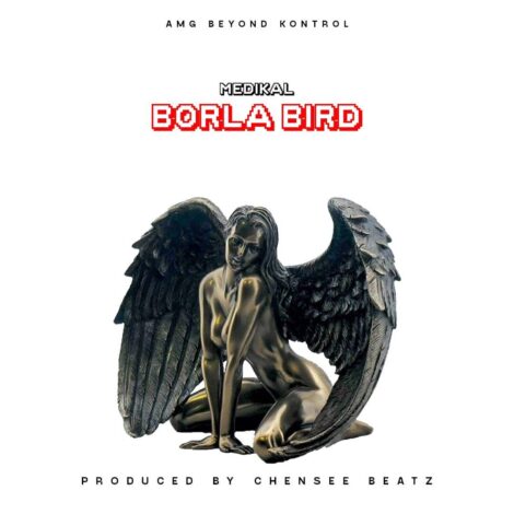 Medikal - Borla Bird (Prod By Chensee Beatz)